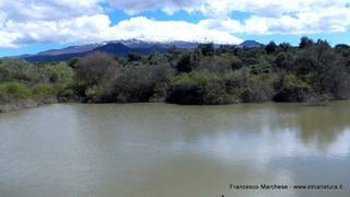 go Gurrida-06-12-2014 18-59-43